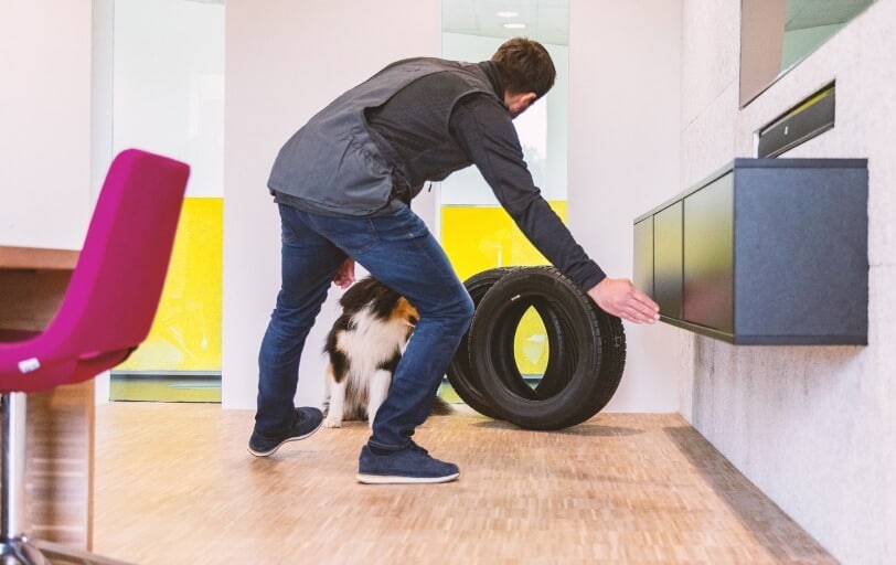 Konzentriert bewegt sich Schimmelspürhund SPIKEY durch den Raum, um die verdeckte Schimmel-Schadstelle aufzuspüren | SMS Group