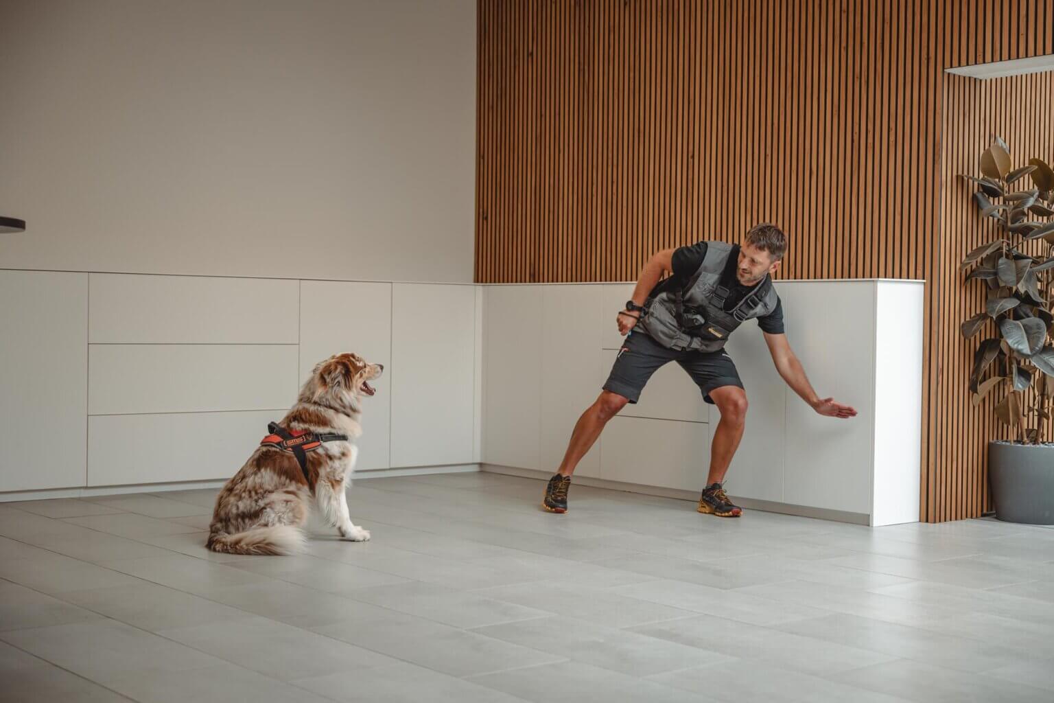 SMS_Schimmelspuerhunde_01